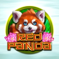 red panda